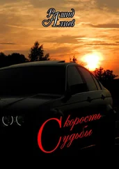 Рашид Алиев - Скорость судьбы