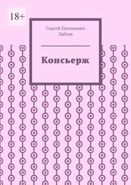Сергей Лабзов Консьерж обложка книги