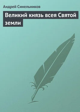 Андрей Синельников Великий князь всея Святой земли обложка книги