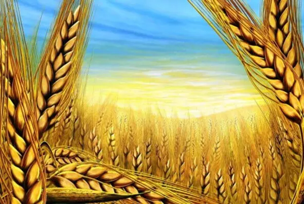 The time passed the Farmer planted his seed Now the land should be fertilized - фото 8