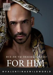 @ValentinasWildWorld - For Him
