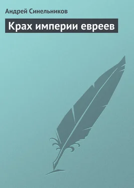 Андрей Синельников Крах империи евреев обложка книги