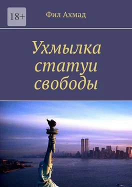 Фил Ахмад Ухмылка статуи свободы обложка книги