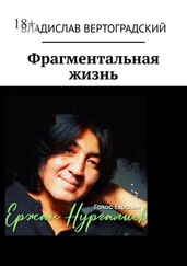 Владислав Вертоградский - Фрагментальная жизнь
