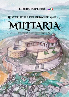 Roberto Borzellino Le avventure del Principe Amir – 3. Militaria обложка книги