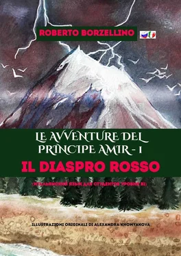 Roberto Borzellino Le avventure del Principe Amir – 1. Il Diaspro rosso обложка книги