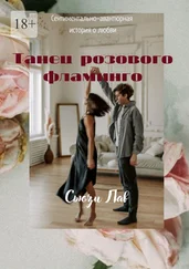 Сьюзи Лав - Танец розового фламинго. Сентиментально-авантюрная история о любви