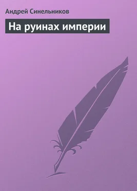 Андрей Синельников На руинах империи обложка книги