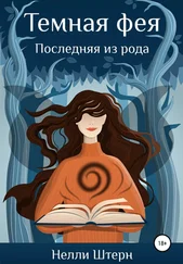 Нелли Штерн - Темная фея. Последняя из рода