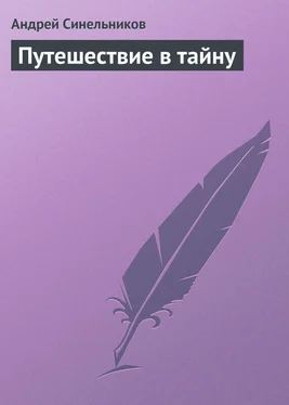 Андрей Синельников Путешествие в тайну обложка книги