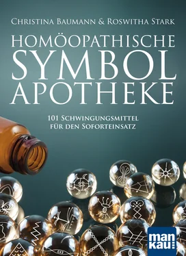 Roswitha Stark Homöopathische Symbolapotheke обложка книги