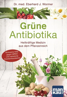 Eberhard J. Wormer Grüne Antibiotika обложка книги