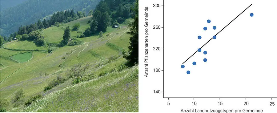 Abb 22 Links Strukturen und Kleinräumigkeit der Wieslandnutzung sind ein - фото 25