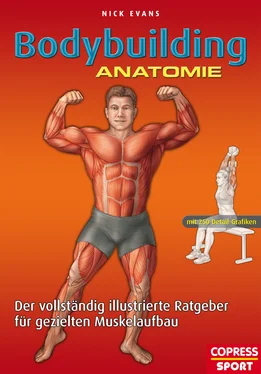 Nick Evans Bodybuilding Anatomie обложка книги