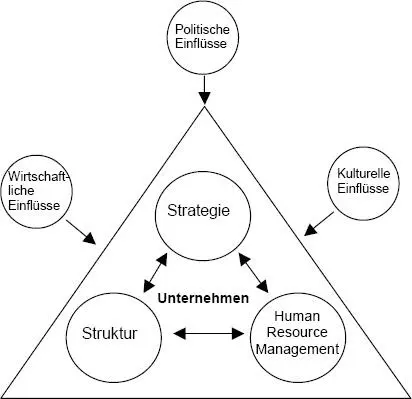 Abb 1 SHRMAnsatz Integration von Strategie Struktur und Human Resource - фото 2