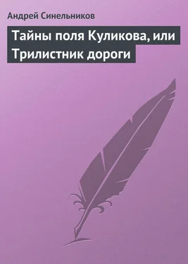 Андрей Синельников Тайны поля Куликова, или Трилистник дороги обложка книги