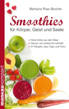 Dr. Barbara Rias-Bucher Smoothies für Körper, Geist und Seele обложка книги