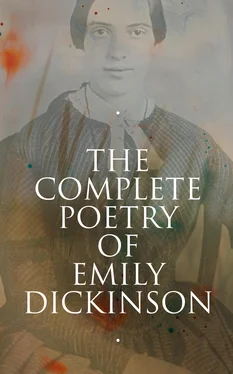 Emily Dickinson The Complete Poetry of Emily Dickinson обложка книги