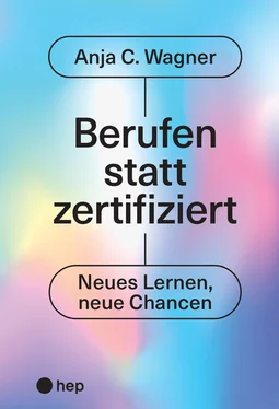 Anja C. Wagner Berufen statt zertifiziert (E-Book) обложка книги