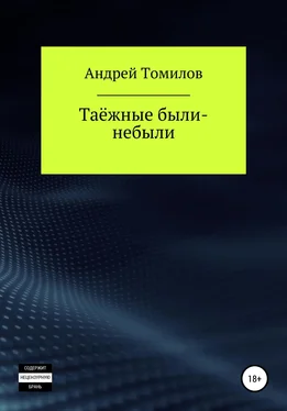 Андрей Томилов Таёжные были-небыли обложка книги