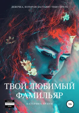 Катерина Траум Твой любимый фамильяр обложка книги