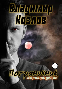 Владимир Козлов Пограничник. #Пробуждение обложка книги