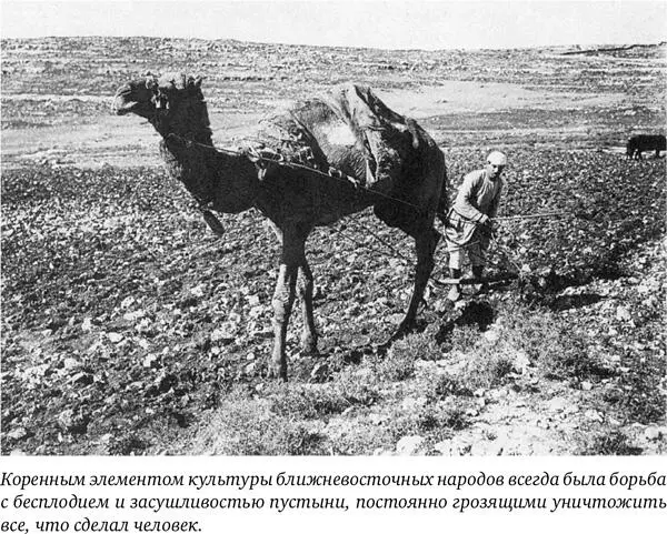 Подобно Мардуку Баал тоже нуждался в дворце чтобы править богами И лишь - фото 6