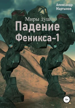 Александр Мартынов Миры душ. Падение Феникса-1 обложка книги