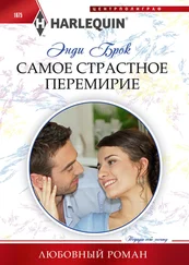 Энди Брок - Самое страстное перемирие