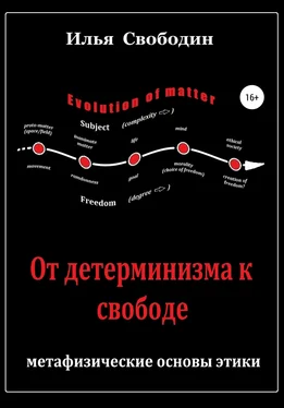 Илья Свободин От детерминизма к свободе: метафизические основы этики обложка книги