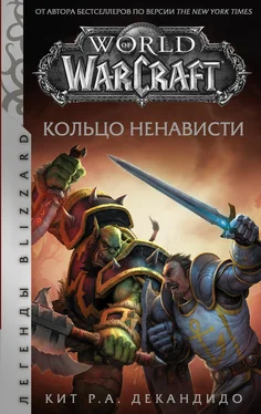 Кит Роберт Андреасси ДеКандидо World of Warcraft. Кольцо ненависти обложка книги