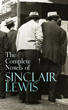 Sinclair Lewis The Complete Novels of Sinclair Lewis обложка книги