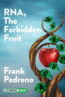 Frank Pedreno ARN, El Fruto Prohibido обложка книги