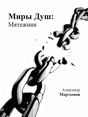 Александр Мартынов Миры Душ: Мятежник обложка книги