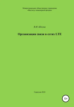 Владимир Шлома Организация связи в сетях LTE обложка книги
