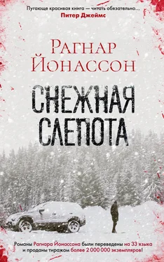 Рагнар Йонассон Снежная слепота обложка книги