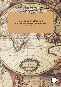 Вениамин Нетесов Путешествие в Мексику, или Неизвестная страница в её открытии обложка книги