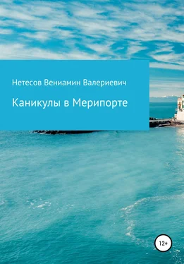 Вениамин Нетесов Каникулы в Мерипорте обложка книги