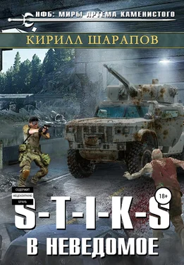 Кирилл Шарапов S-T-I-K-S. В неведомое обложка книги