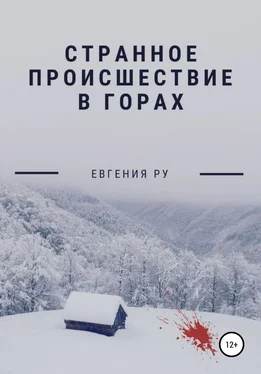 Евгения Ру Странное происшествие в горах обложка книги