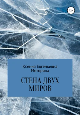 Ксения Моторина Стена двух миров обложка книги