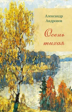 Александр Андронов Осень тихая обложка книги