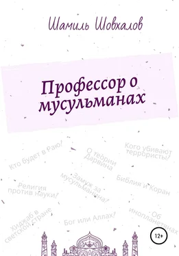 Шамиль Шовхалов Профессор о мусульманах обложка книги