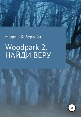 Мадина Кеберлейн Woodpark 2. НАЙДИ ВЕРУ обложка книги