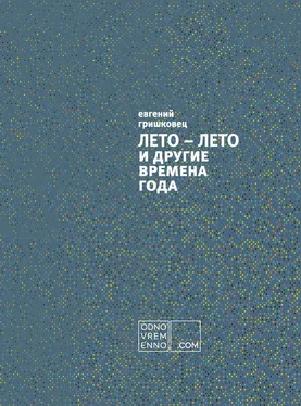 Евгений Гришковец ЛЕТО – ЛЕТО и другие времена года обложка книги