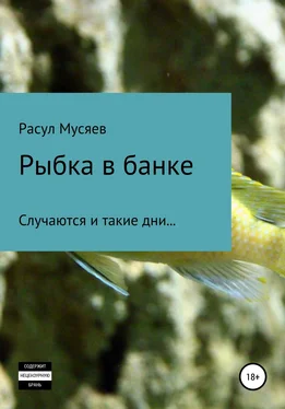 Расул Мусяев Рыбка в банке обложка книги