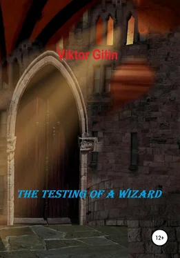 Viktor Gitin The Testing of a Wizard обложка книги