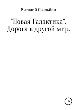 Виталий Свадьбин «Новая Галактика». Дорога в другой мир обложка книги