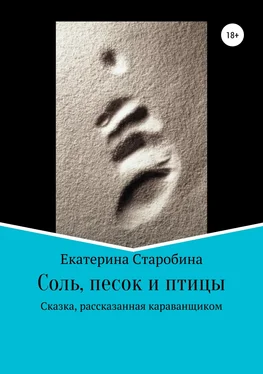 Юлия Медникова Соль, песок и птицы обложка книги