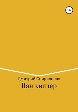 Дмитрий Спиридонов Пан киллер обложка книги